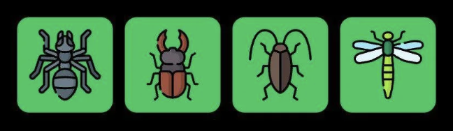 FLIES Daily Combo 23 January 2026