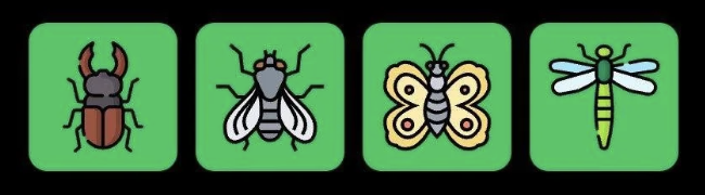 FLIES Daily Combo 24 January 2026