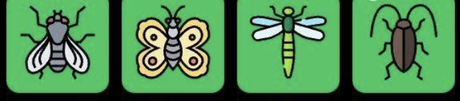 Screenshot 2026-01-25 at 115448 AM FLIES Daily Combo 25 January 2026