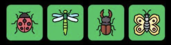 Screenshot 2026-01-26 at 113134 AM FLIES Daily Combo 26 January 2026