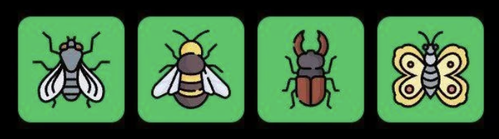 FLIES Daily Combo 27 January 2026