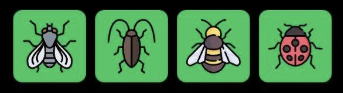 FLIES Daily Combo 28 January 2026