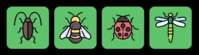 FLIES Daily Combo 29 January 2026