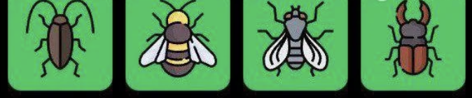 Screenshot 2026-01-30 at 111051 AM FLIES Daily Combo 30 January 2026