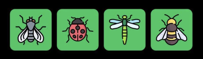 Screenshot 2026-01-31 at 114522 AM FLIES Daily Combo 31 January 2026