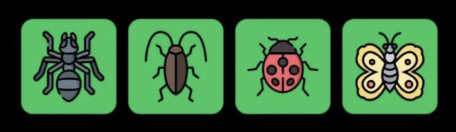 Screenshot 2026-02-01 at 122954 PM FLIES Daily Combo 1 February 2026