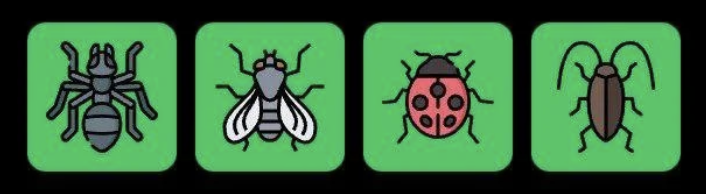 Screenshot 2026-02-02 at 113936 AM FLIES Daily Combo 2 February 2026