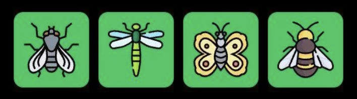 FLIES Daily Combo 6 February 2026