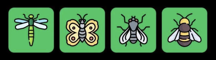 FLIES Daily Combo 7 February 2026