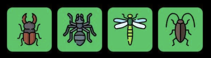 FLIES Daily Combo 8 February 2026