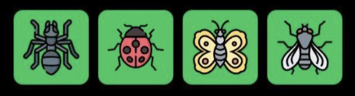 FLIES Daily Combo 9 February 2026