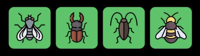 FLIES Daily Combo 10 February 2026