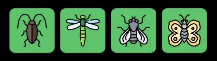 FLIES Daily Combo 11 February 2026