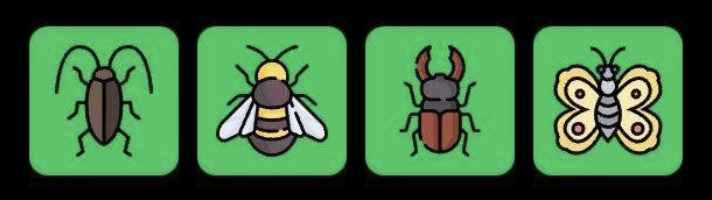 FLIES Daily Combo 12 February 2026