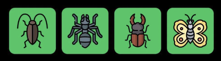 FLIES Daily Combo 14 February 2026