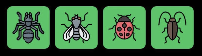 FLIES Daily Combo 15 February 2026