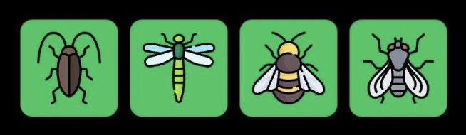 Screenshot 2026-02-17 at 111442 AM FLIES Daily Combo 17 February 2026