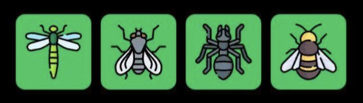 FLIES Daily Combo 18 February 2026