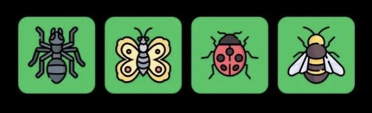 FLIES Daily Combo 19 February 2026