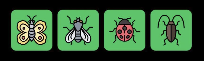 FLIES Daily Combo 20 February 2026