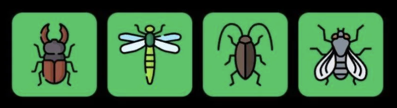 FLIES Daily Combo 21 February 2026