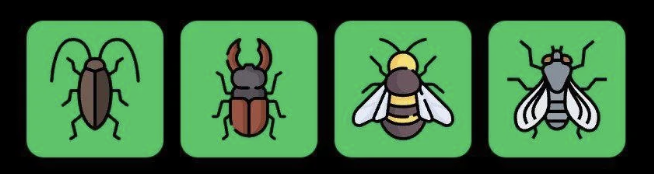 FLIES Daily Combo 24 February 2026