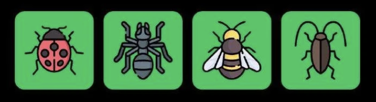 FLIES Daily Combo 25 February 2026