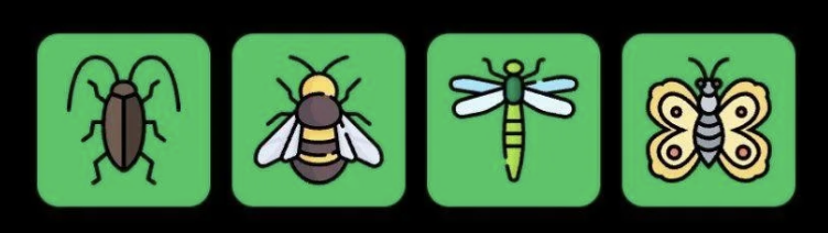 FLIES Daily Combo 26 February 2026