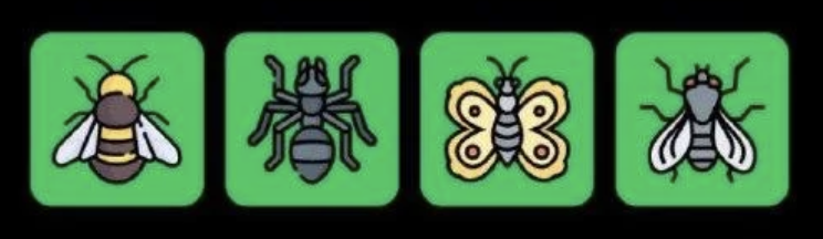 FLIES Daily Combo 1 March 2026