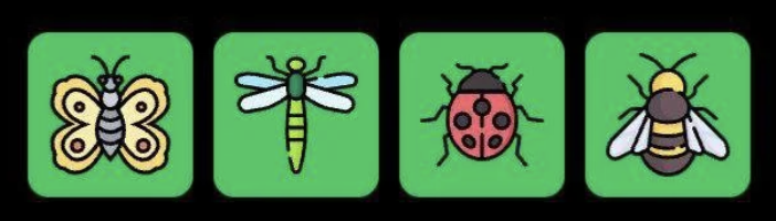 Screenshot 2026-03-03 at 103423 AM FLIES Daily Combo 3 March 2026