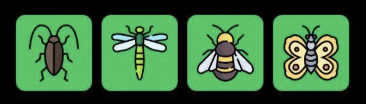 Screenshot 2026-03-04 at 104014 AM FLIES Daily Combo 4 March 2026