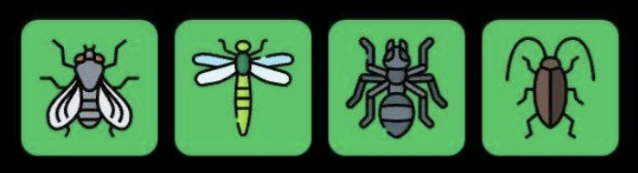 FLIES Daily Combo 5 March 2026