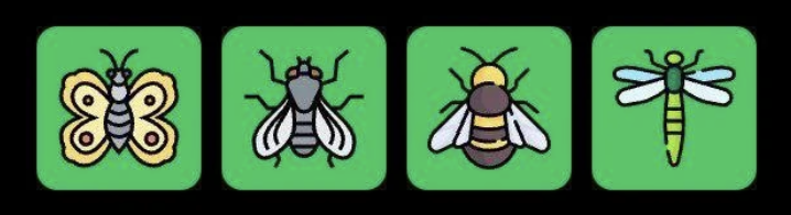 FLIES Daily Combo 7 March 2026