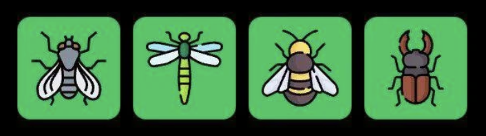 Screenshot 2026-03-09 at 113631 AM FLIES Daily Combo 9 March 2026