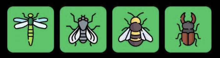 FLIES Daily Combo 10 March 2026