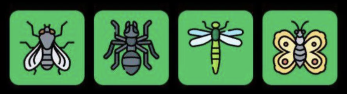 FLIES Daily Combo 11 March 2026