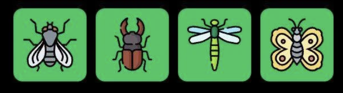 FLIES Daily Combo 12 March 2026