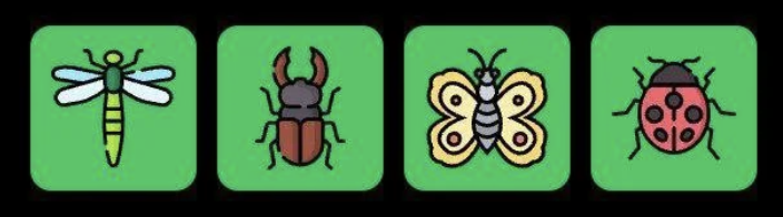 FLIES Daily Combo 13 March 2026