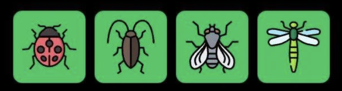 FLIES Daily Combo 17 March 2026