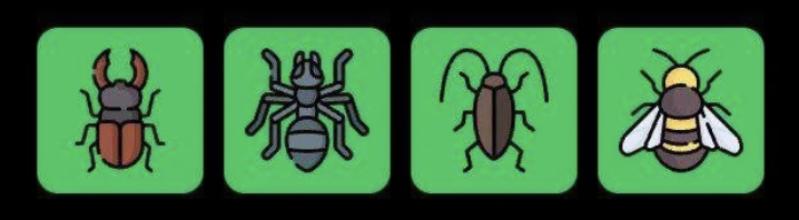 FLIES Daily Combo 18 March 2026