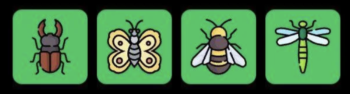 FLIES Daily Combo 19 March 2026