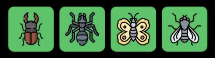 FLIES Daily Combo 20 March 2026