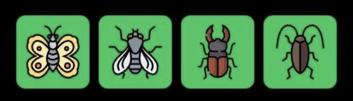 FLIES Daily Combo 23 March 2026