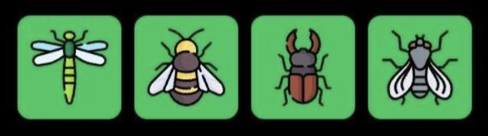 FLIES Daily Combo 25 March 2026