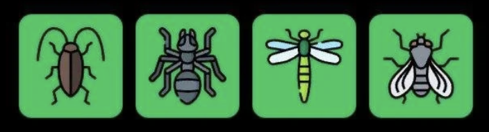 Screenshot 2026-03-26 at 104946 AM FLIES Daily Combo 26 March 2026