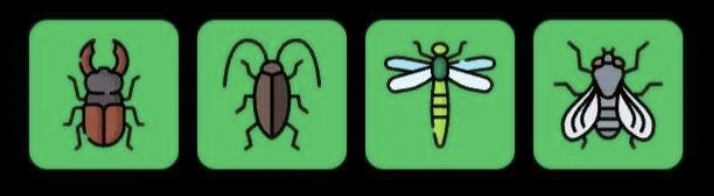 FLIES Daily Combo 1 April 2026