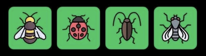 FLIES Daily Combo 2 April 2026