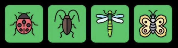 FLIES Daily Combo 3 April 2026