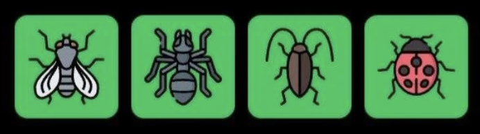 FLIES Daily Combo 5 April 2026