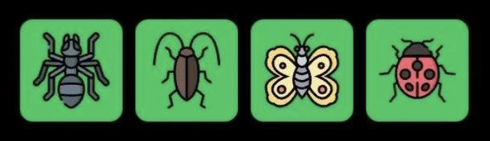 FLIES Daily Combo 6 April 2026